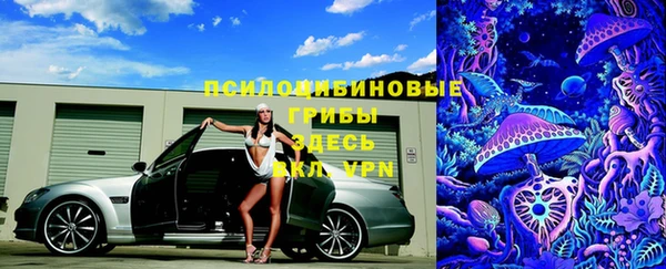 прущие крисы Баксан