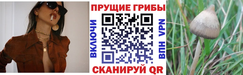 Галлюциногенные грибы мухоморы Куровское
