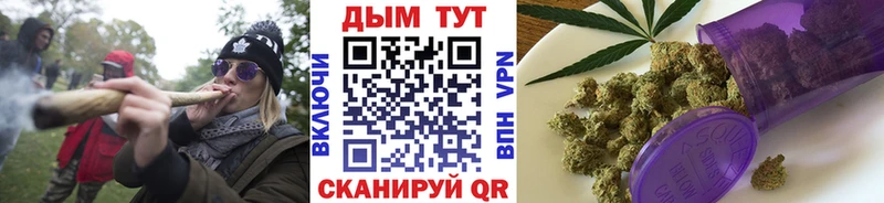 Каннабис индика Куровское